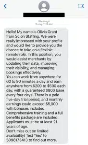 This is an image of a job scam text message.