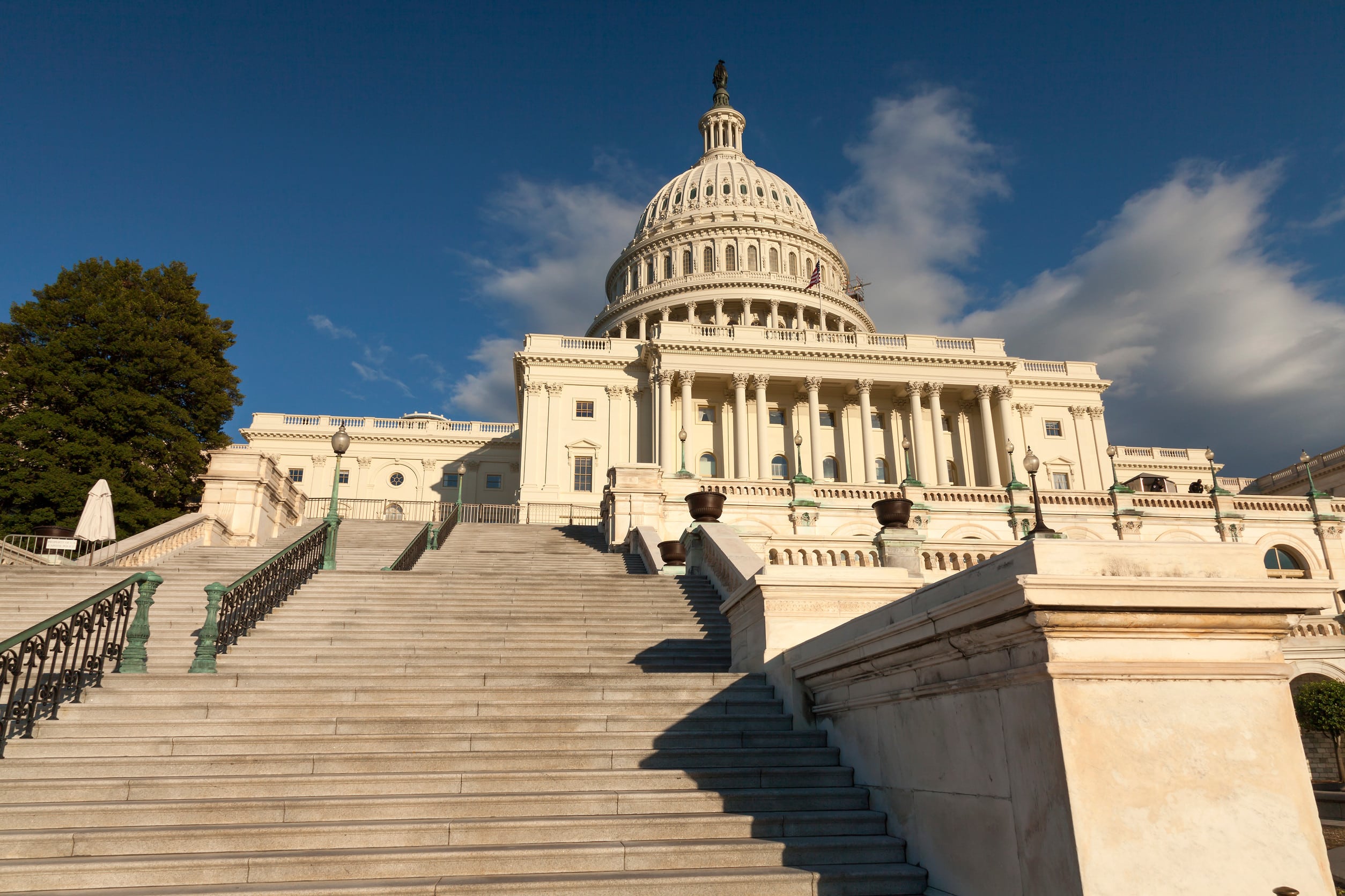 The US Capitol in Washington D.C.