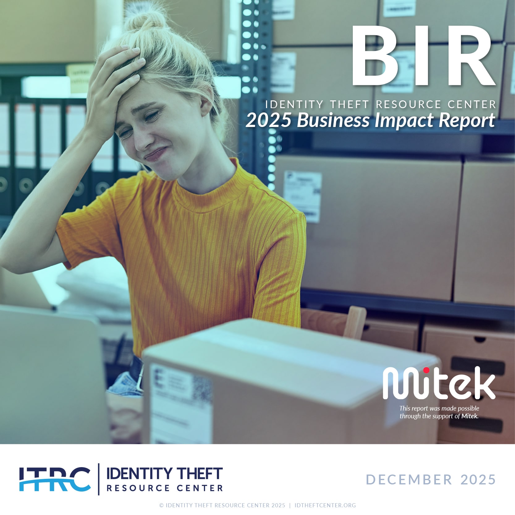 This is the cover thumbnail for the 2025 Business Impact Report